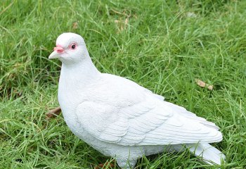 鴿子雕塑-草坪花園創(chuàng)意玻璃鋼樹脂裝飾品鴿子雕塑