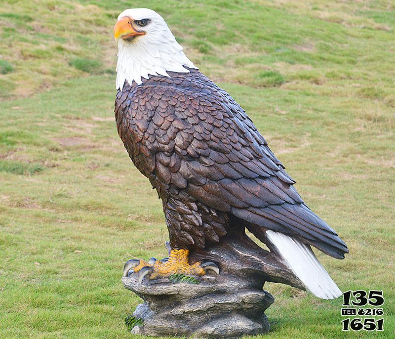 老鷹雕塑-動物園一只孤獨的樹脂老鷹雕塑高清圖片