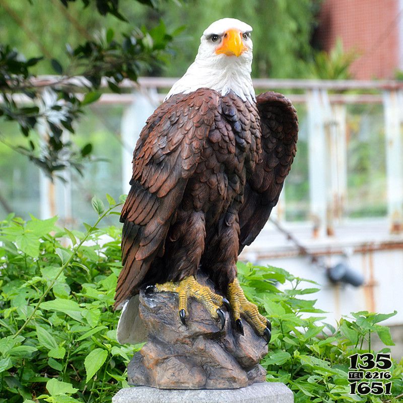 老鷹雕塑-公園一只仿真樹(shù)脂老鷹雕塑高清圖片