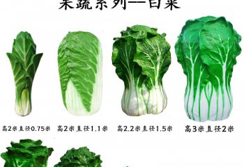 玻璃鋼果蔬白菜雕塑-玻璃鋼果蔬白菜雕塑，仿真玻璃鋼白菜雕塑